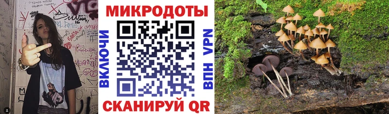 Галлюциногенные грибы прущие грибы  Минусинск 